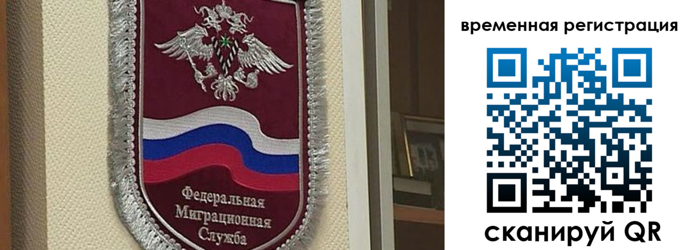 прописка законно в Александрове